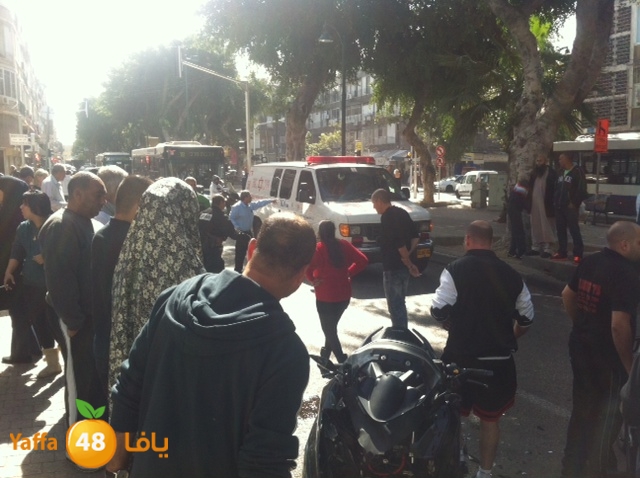 accshderot51 (4).jpg